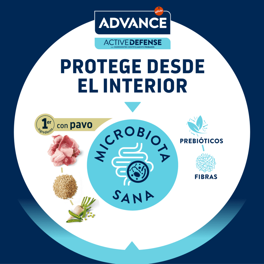 12 kg (10 + 2 &iexcl;gratis!) Advance Adult Sterilized Pavo y Cebada pienso para gatos, , large Imagen numero 5